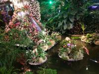 Albums/20200303-Kew Gardens/6